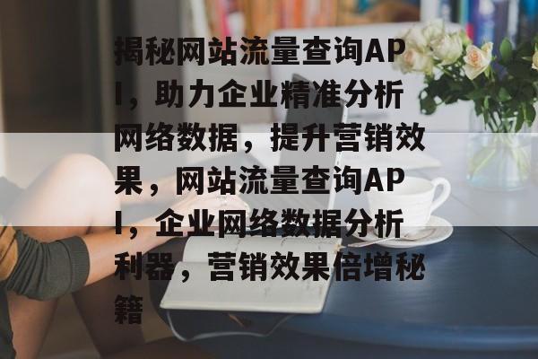揭秘网站流量查询API，助力企业精准分析网络数据，提升营销效果，网站流量查询API，企业网络数据分析利器，营销效果倍增秘籍