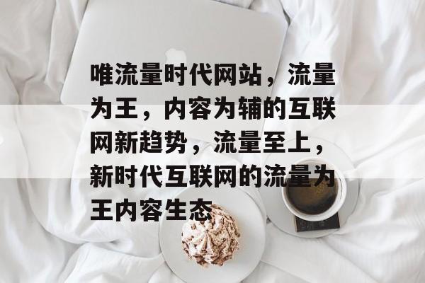 唯流量时代网站，流量为王，内容为辅的互联网新趋势，流量至上，新时代互联网的流量为王内容生态