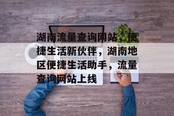 湖南流量查询网站，便捷生活新伙伴，湖南地区便捷生活助手，流量查询网站上线