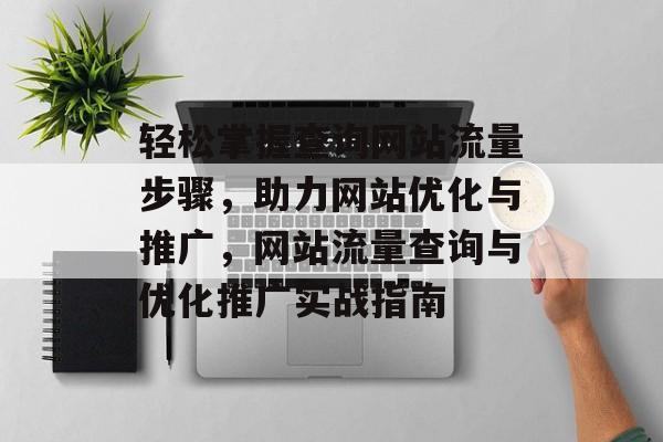 轻松掌握查询网站流量步骤，助力网站优化与推广，网站流量查询与优化推广实战指南