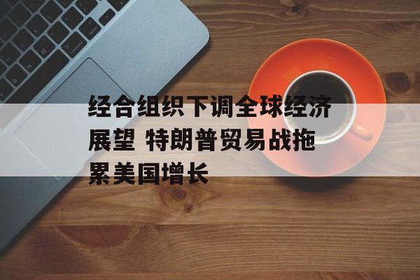 经合组织下调全球经济展望 特朗普贸易战拖累美国增长