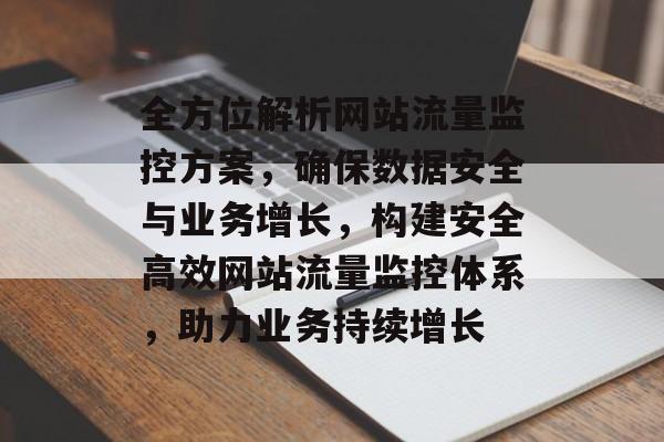 全方位解析网站流量监控方案，确保数据安全与业务增长，构建安全高效网站流量监控体系，助力业务持续增长