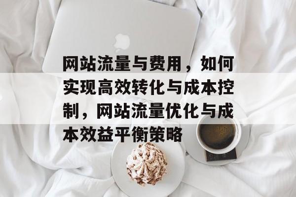 网站流量与费用，如何实现高效转化与成本控制，网站流量优化与成本效益平衡策略