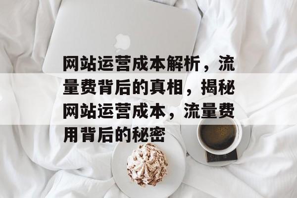 网站运营成本解析，流量费背后的真相，揭秘网站运营成本，流量费用背后的秘密