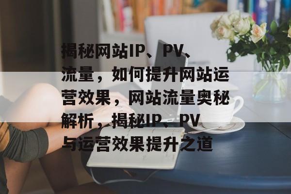 揭秘网站IP、PV、流量，如何提升网站运营效果，网站流量奥秘解析，揭秘IP、PV与运营效果提升之道