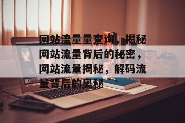 网站流量量查询，揭秘网站流量背后的秘密，网站流量揭秘，解码流量背后的奥秘