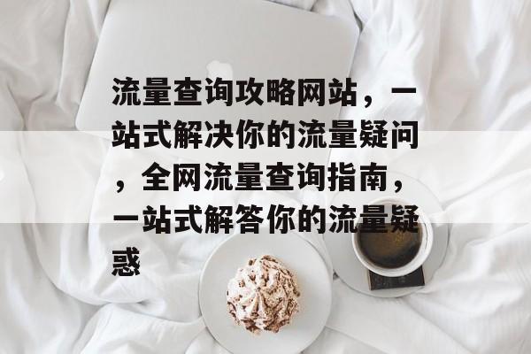 流量查询攻略网站，一站式解决你的流量疑问，全网流量查询指南，一站式解答你的流量疑惑