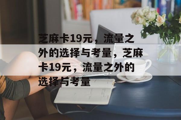 芝麻卡19元，流量之外的选择与考量，芝麻卡19元，流量之外的选择与考量