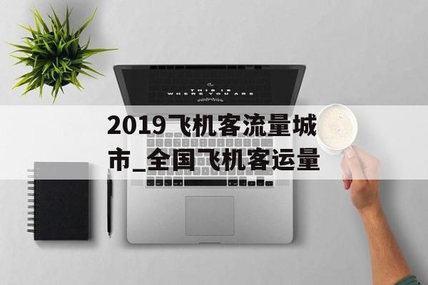 2019飞机客流量城市_全国飞机客运量