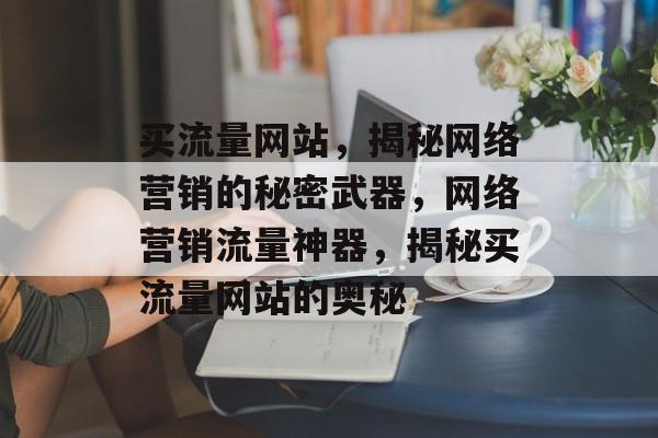 买流量网站，揭秘网络营销的秘密武器，网络营销流量神器，揭秘买流量网站的奥秘