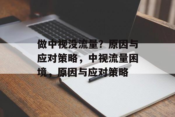 做中视没流量？原因与应对策略，中视流量困境，原因与应对策略