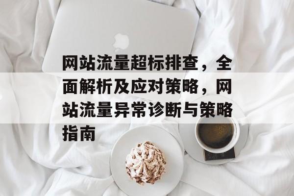 网站流量超标排查，全面解析及应对策略，网站流量异常诊断与策略指南