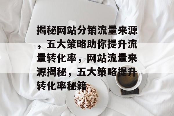 揭秘网站分销流量来源，五大策略助你提升流量转化率，网站流量来源揭秘，五大策略提升转化率秘籍