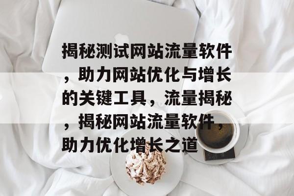 揭秘测试网站流量软件，助力网站优化与增长的关键工具，流量揭秘，揭秘网站流量软件，助力优化增长之道