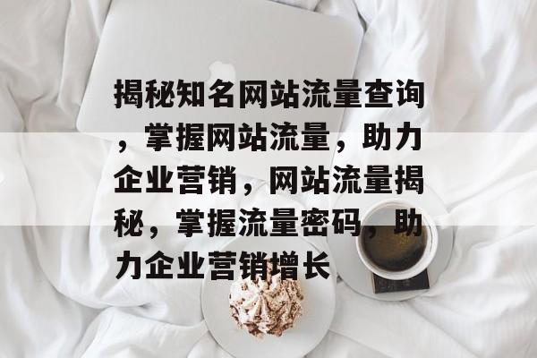 揭秘知名网站流量查询，掌握网站流量，助力企业营销，网站流量揭秘，掌握流量密码，助力企业营销增长