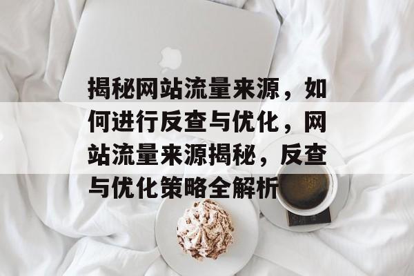 揭秘网站流量来源，如何进行反查与优化，网站流量来源揭秘，反查与优化策略全解析