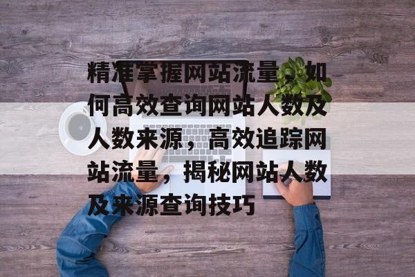 精准掌握网站流量，如何高效查询网站人数及人数来源，高效追踪网站流量，揭秘网站人数及来源查询技巧