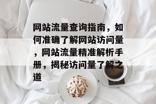 网站流量查询指南，如何准确了解网站访问量，网站流量精准解析手册，揭秘访问量了解之道