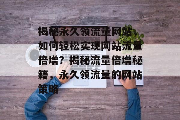 揭秘永久领流量网站，如何轻松实现网站流量倍增？揭秘流量倍增秘籍，永久领流量的网站策略