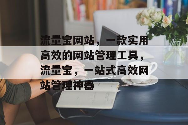 流量宝网站，一款实用高效的网站管理工具，流量宝，一站式高效网站管理神器