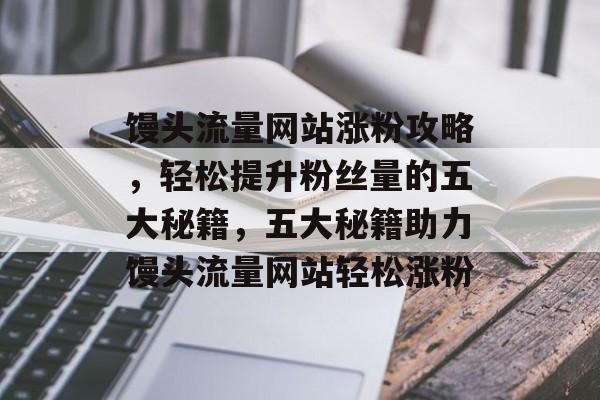 馒头流量网站涨粉攻略，轻松提升粉丝量的五大秘籍，五大秘籍助力馒头流量网站轻松涨粉