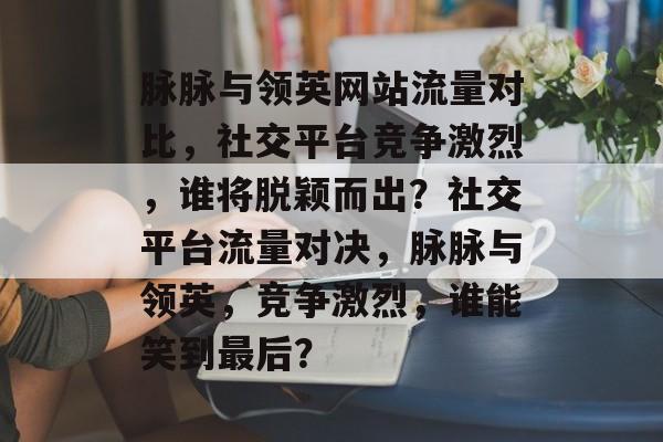 脉脉与领英网站流量对比，社交平台竞争激烈，谁将脱颖而出？社交平台流量对决，脉脉与领英，竞争激烈，谁能笑到最后？
