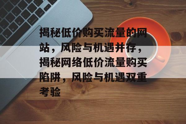 揭秘低价购买流量的网站，风险与机遇并存，揭秘网络低价流量购买陷阱，风险与机遇双重考验