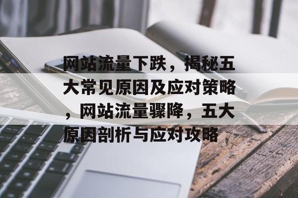 网站流量下跌，揭秘五大常见原因及应对策略，网站流量骤降，五大原因剖析与应对攻略
