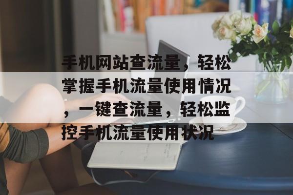手机网站查流量，轻松掌握手机流量使用情况，一键查流量，轻松监控手机流量使用状况
