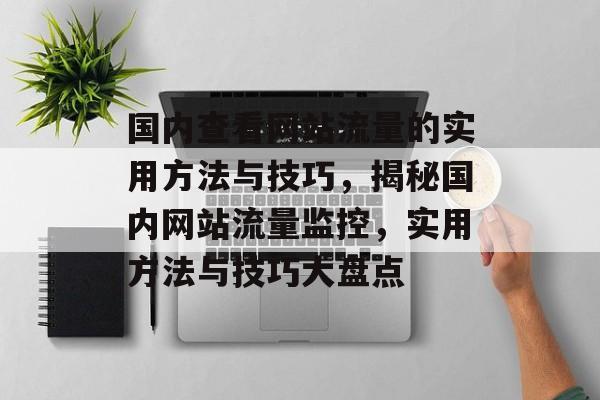 国内查看网站流量的实用方法与技巧，揭秘国内网站流量监控，实用方法与技巧大盘点