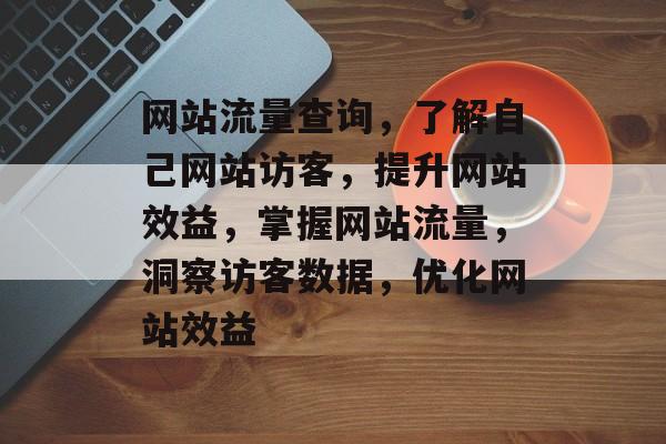 网站流量查询，了解自己网站访客，提升网站效益，掌握网站流量，洞察访客数据，优化网站效益