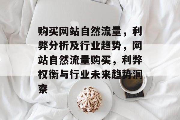购买网站自然流量，利弊分析及行业趋势，网站自然流量购买，利弊权衡与行业未来趋势洞察