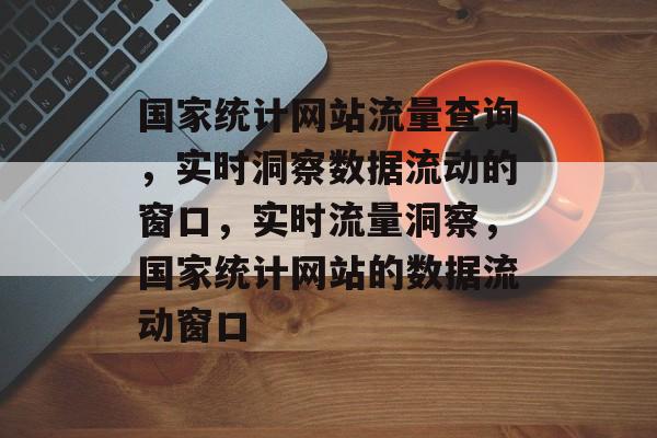 国家统计网站流量查询，实时洞察数据流动的窗口，实时流量洞察，国家统计网站的数据流动窗口