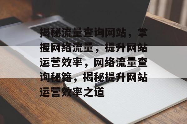 揭秘流量查询网站，掌握网络流量，提升网站运营效率，网络流量查询秘籍，揭秘提升网站运营效率之道