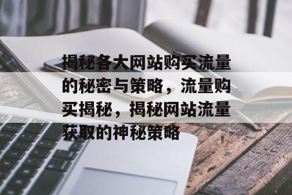 揭秘各大网站购买流量的秘密与策略，流量购买揭秘，揭秘网站流量获取的神秘策略
