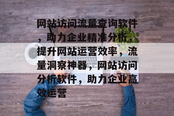 网站访问流量查询软件，助力企业精准分析，提升网站运营效率，流量洞察神器，网站访问分析软件，助力企业高效运营