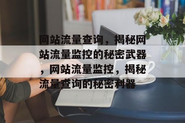 网站流量查询，揭秘网站流量监控的秘密武器，网站流量监控，揭秘流量查询的秘密利器