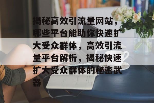 揭秘高效引流量网站，哪些平台能助你快速扩大受众群体，高效引流量平台解析，揭秘快速扩大受众群体的秘密武器