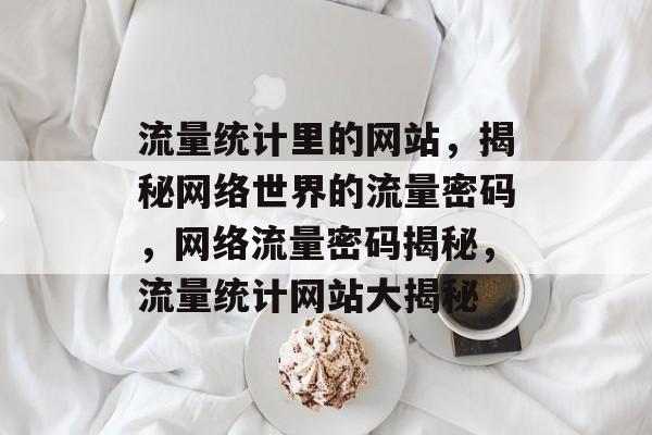 流量统计里的网站，揭秘网络世界的流量密码，网络流量密码揭秘，流量统计网站大揭秘