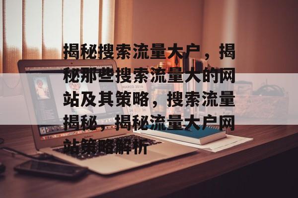 揭秘搜索流量大户，揭秘那些搜索流量大的网站及其策略，搜索流量揭秘，揭秘流量大户网站策略解析