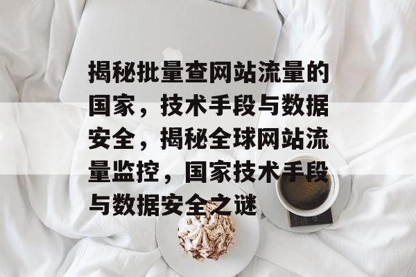 揭秘批量查网站流量的国家，技术手段与数据安全，揭秘全球网站流量监控，国家技术手段与数据安全之谜