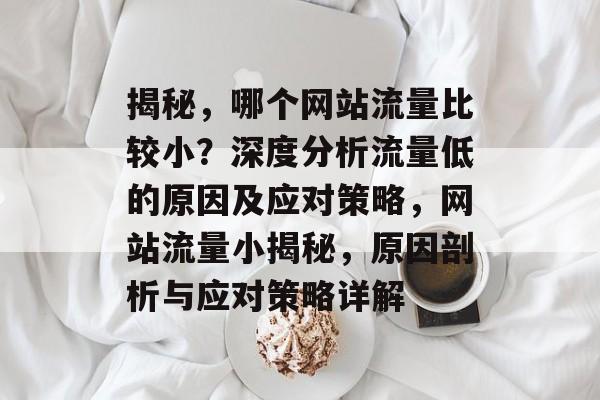 揭秘，哪个网站流量比较小？深度分析流量低的原因及应对策略，网站流量小揭秘，原因剖析与应对策略详解