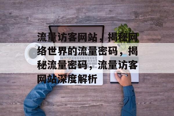 流量访客网站，揭秘网络世界的流量密码，揭秘流量密码，流量访客网站深度解析