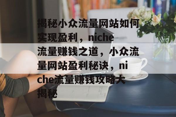 揭秘小众流量网站如何实现盈利，niche流量赚钱之道，小众流量网站盈利秘诀，niche流量赚钱攻略大揭秘