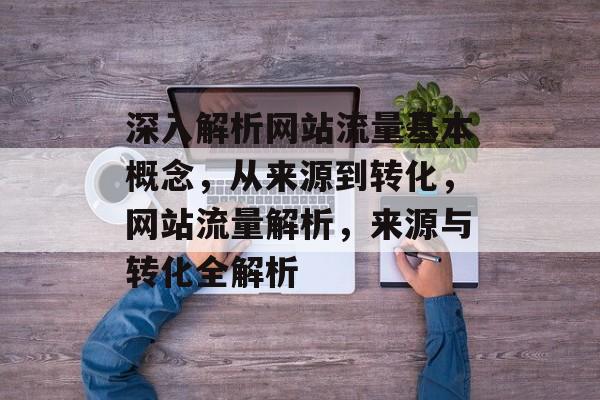 深入解析网站流量基本概念，从来源到转化，网站流量解析，来源与转化全解析