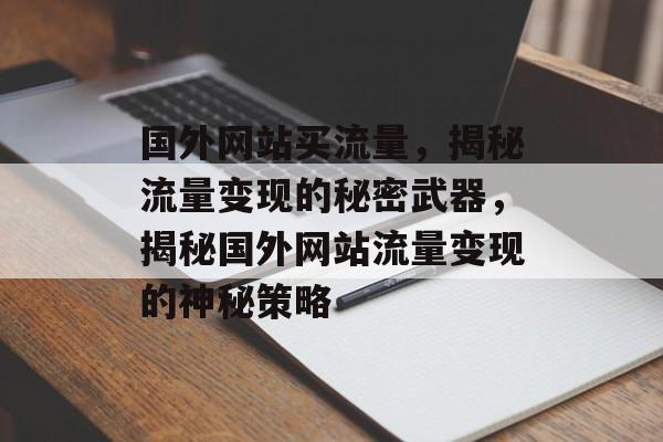 国外网站买流量，揭秘流量变现的秘密武器，揭秘国外网站流量变现的神秘策略