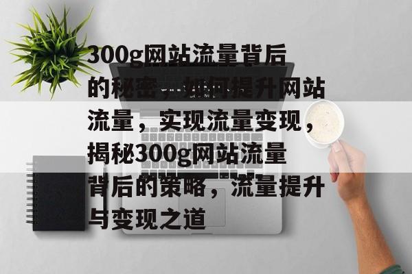 300g网站流量背后的秘密，如何提升网站流量，实现流量变现，揭秘300g网站流量背后的策略，流量提升与变现之道