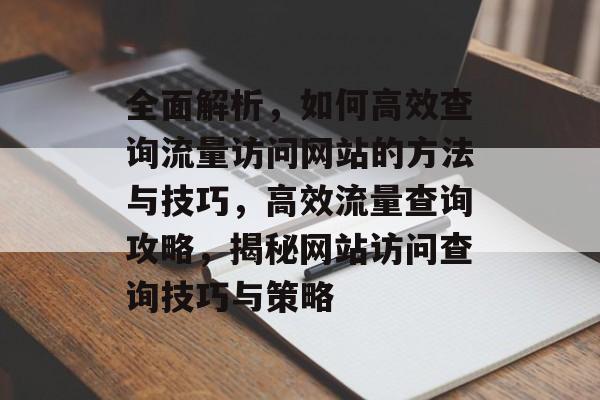 全面解析，如何高效查询流量访问网站的方法与技巧，高效流量查询攻略，揭秘网站访问查询技巧与策略