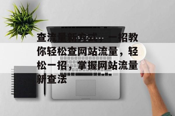 查流量新方式，一招教你轻松查网站流量，轻松一招，掌握网站流量新查法