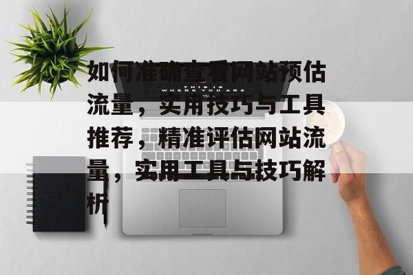 如何准确查看网站预估流量，实用技巧与工具推荐，精准评估网站流量，实用工具与技巧解析